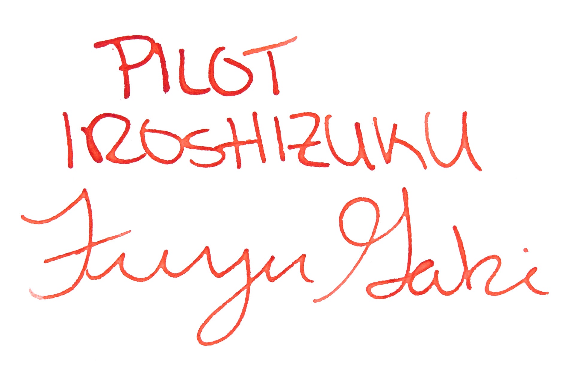 Pilot Iroshizuku Fuyu-gaki - Ink Sample
