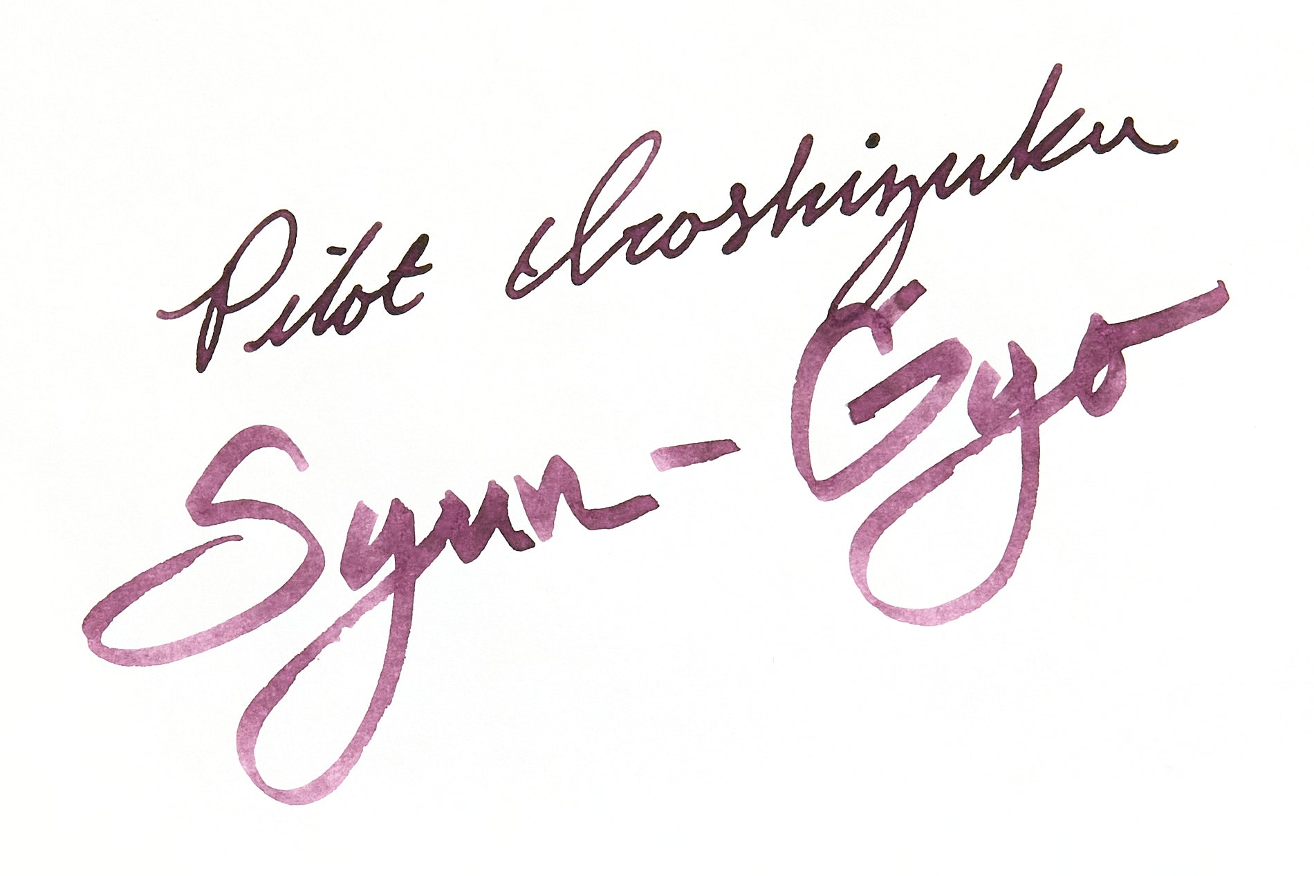 Pilot Iroshizuku Syun-gyo fountain pen ink