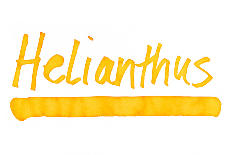Rohrer & Klingner Helianthus - Ink Sample