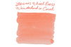 Ferris Wheel Press Wonderland in Coral - Ink Sample