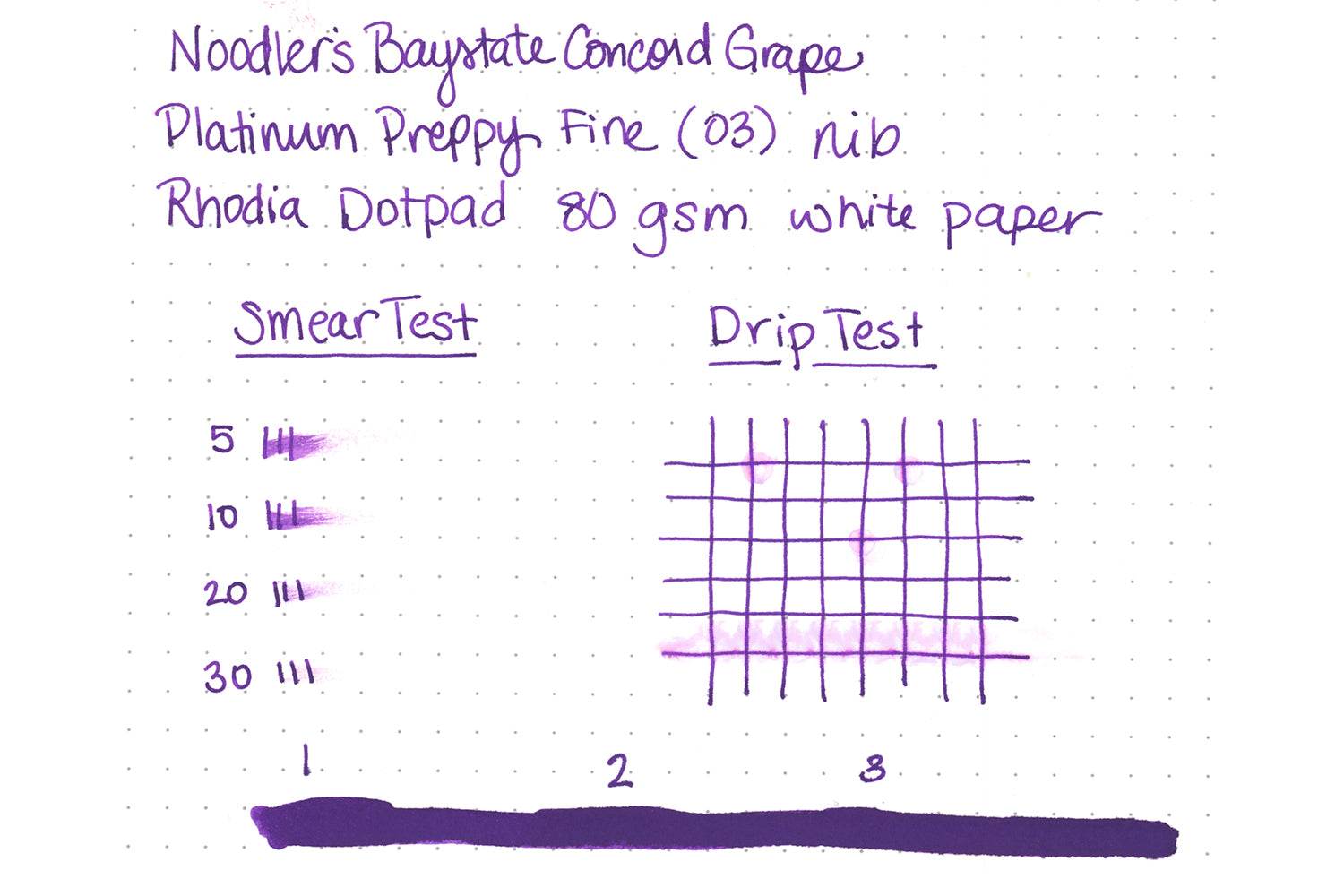 Noodler's Baystate Concord Grape fountain pen ink